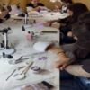 Uñas y pestañas profesional