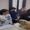 Asistente Veterinario